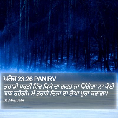 ਖ਼ਰੋਜ 23:26 PANIRV Bible Verse Image