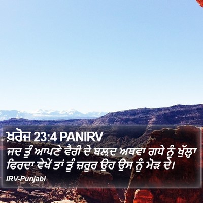 ਖ਼ਰੋਜ 23:4 PANIRV Bible Verse Image