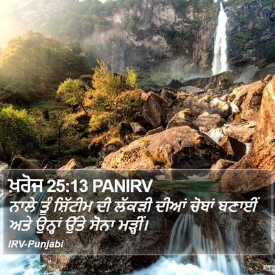 ਖ਼ਰੋਜ 25:13 PANIRV Bible Verse Image