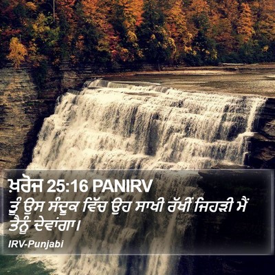 ਖ਼ਰੋਜ 25:16 PANIRV Bible Verse Image