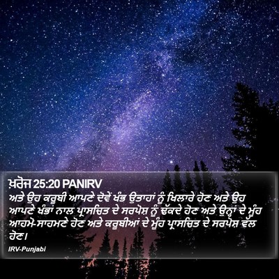 ਖ਼ਰੋਜ 25:20 PANIRV Bible Verse Image
