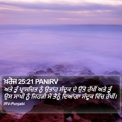 ਖ਼ਰੋਜ 25:21 PANIRV Bible Verse Image