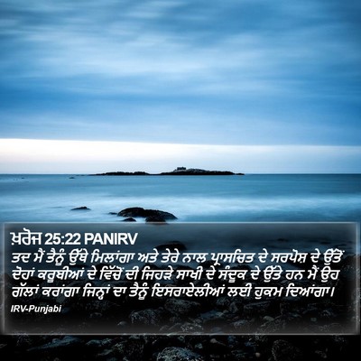 ਖ਼ਰੋਜ 25:22 PANIRV Bible Verse Image