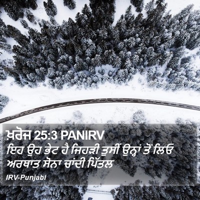 ਖ਼ਰੋਜ 25:3 PANIRV Bible Verse Image