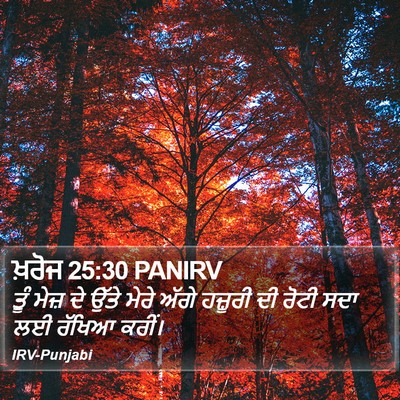 ਖ਼ਰੋਜ 25:30 PANIRV Bible Verse Image