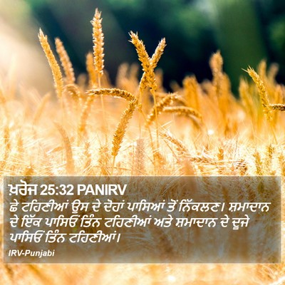 ਖ਼ਰੋਜ 25:32 PANIRV Bible Verse Image