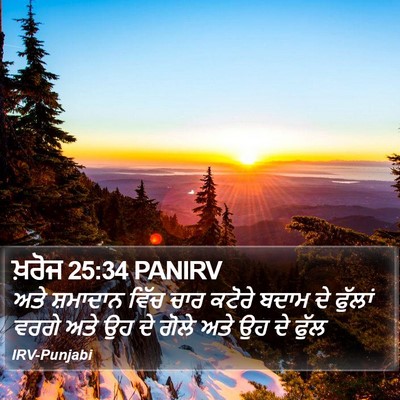 ਖ਼ਰੋਜ 25:34 PANIRV Bible Verse Image