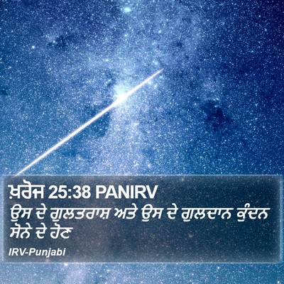 ਖ਼ਰੋਜ 25:38 PANIRV Bible Verse Image