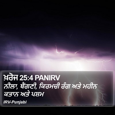 ਖ਼ਰੋਜ 25:4 PANIRV Bible Verse Image