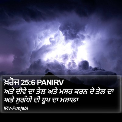 ਖ਼ਰੋਜ 25:6 PANIRV Bible Verse Image