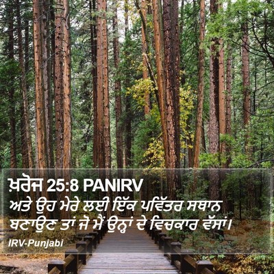 ਖ਼ਰੋਜ 25:8 PANIRV Bible Verse Image