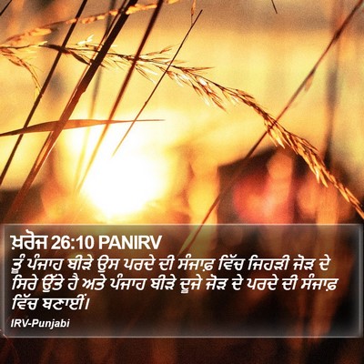 ਖ਼ਰੋਜ 26:10 PANIRV Bible Verse Image