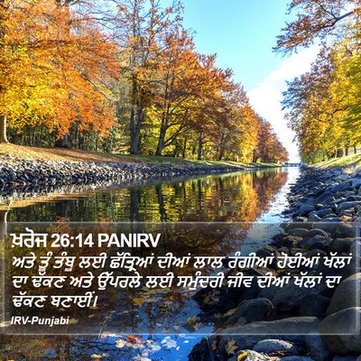 ਖ਼ਰੋਜ 26:14 PANIRV Bible Verse Image