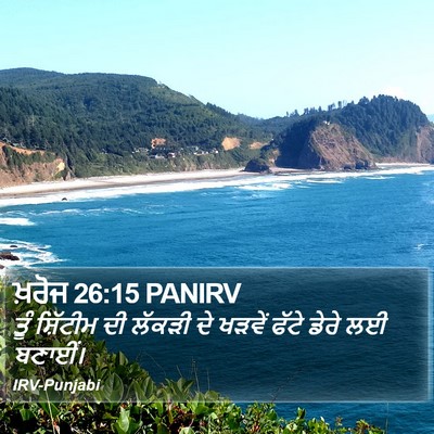 ਖ਼ਰੋਜ 26:15 PANIRV Bible Verse Image