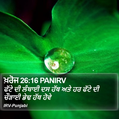 ਖ਼ਰੋਜ 26:16 PANIRV Bible Verse Image