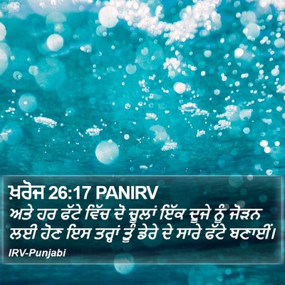 ਖ਼ਰੋਜ 26:17 PANIRV Bible Verse Image