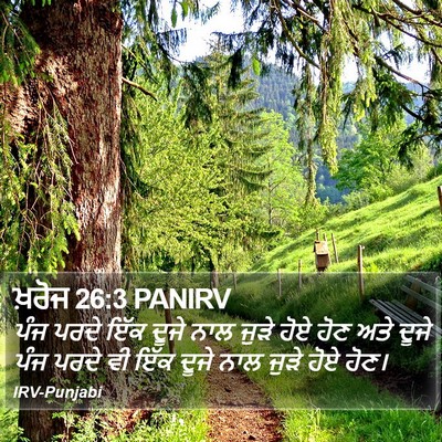ਖ਼ਰੋਜ 26:3 PANIRV Bible Verse Image