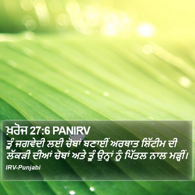 ਖ਼ਰੋਜ 27:6 PANIRV Bible Verse Image