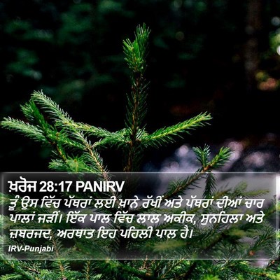ਖ਼ਰੋਜ 28:17 PANIRV Bible Verse Image