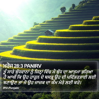 ਖ਼ਰੋਜ 28:3 PANIRV Bible Verse Image