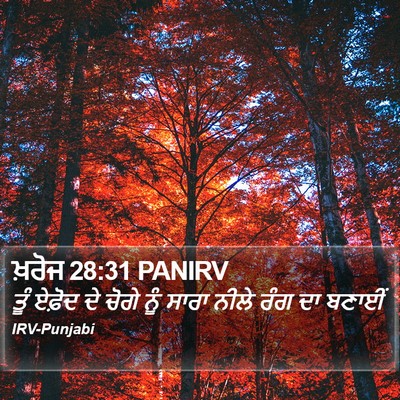 ਖ਼ਰੋਜ 28:31 PANIRV Bible Verse Image