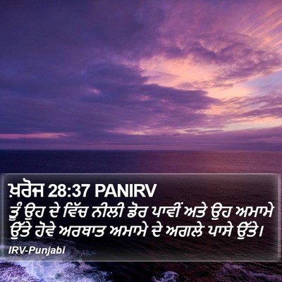 ਖ਼ਰੋਜ 28:37 PANIRV Bible Verse Image