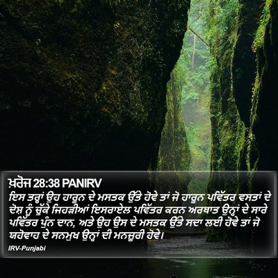 ਖ਼ਰੋਜ 28:38 PANIRV Bible Verse Image