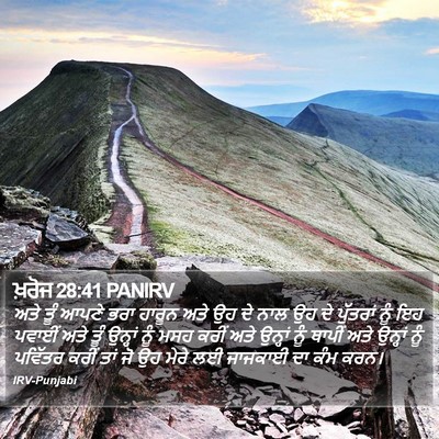 ਖ਼ਰੋਜ 28:41 PANIRV Bible Verse Image