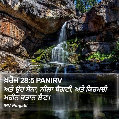 ਖ਼ਰੋਜ 28:5 PANIRV Bible Verse Image