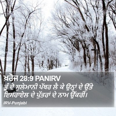 ਖ਼ਰੋਜ 28:9 PANIRV Bible Verse Image