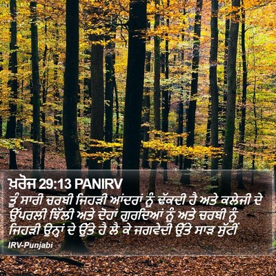 ਖ਼ਰੋਜ 29:13 PANIRV Bible Verse Image