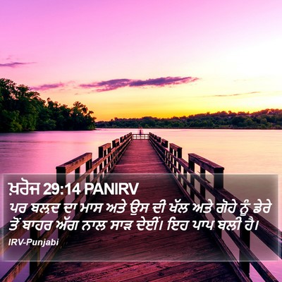 ਖ਼ਰੋਜ 29:14 PANIRV Bible Verse Image