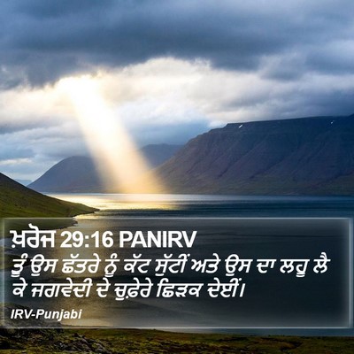 ਖ਼ਰੋਜ 29:16 PANIRV Bible Verse Image
