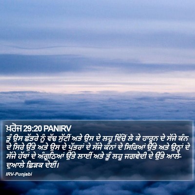 ਖ਼ਰੋਜ 29:20 PANIRV Bible Verse Image