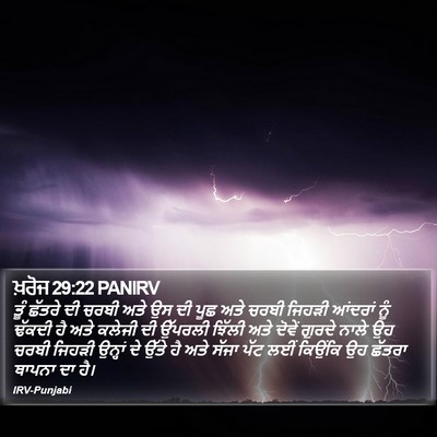 ਖ਼ਰੋਜ 29:22 PANIRV Bible Verse Image