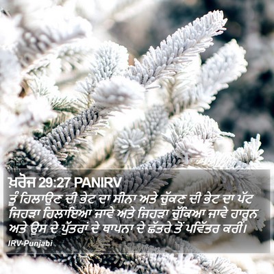 ਖ਼ਰੋਜ 29:27 PANIRV Bible Verse Image