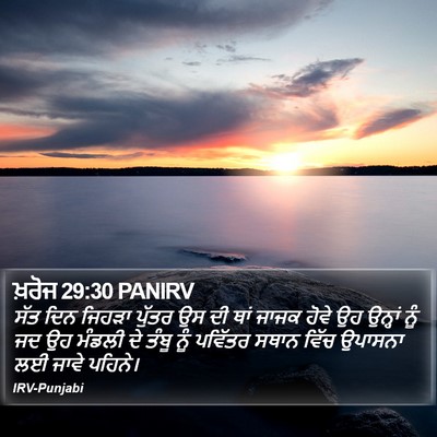 ਖ਼ਰੋਜ 29:30 PANIRV Bible Verse Image