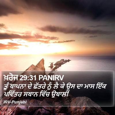 ਖ਼ਰੋਜ 29:31 PANIRV Bible Verse Image