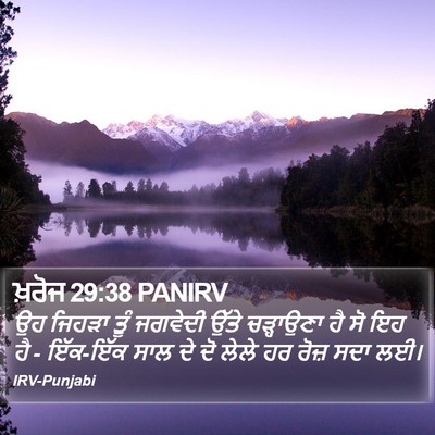 ਖ਼ਰੋਜ 29:38 PANIRV Bible Verse Image