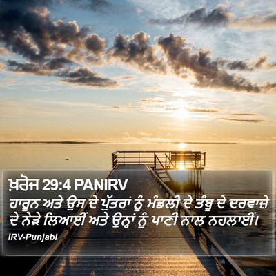 ਖ਼ਰੋਜ 29:4 PANIRV Bible Verse Image