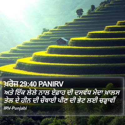ਖ਼ਰੋਜ 29:40 PANIRV Bible Verse Image