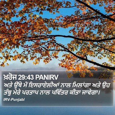ਖ਼ਰੋਜ 29:43 PANIRV Bible Verse Image