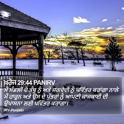 ਖ਼ਰੋਜ 29:44 PANIRV Bible Verse Image