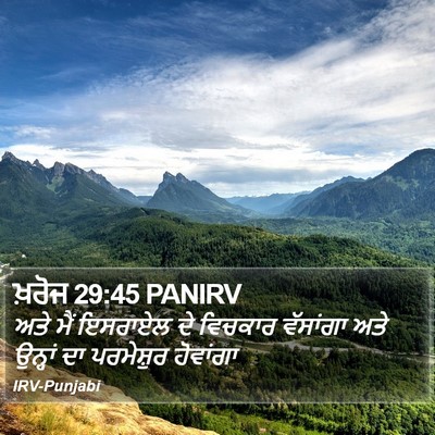 ਖ਼ਰੋਜ 29:45 PANIRV Bible Verse Image