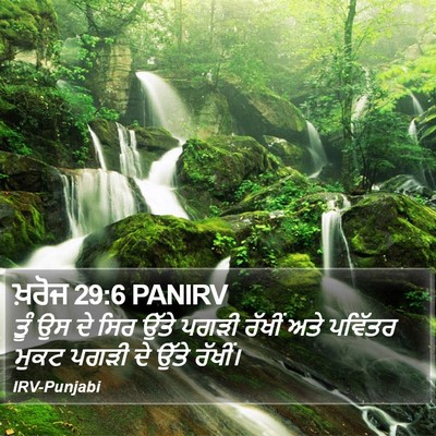 ਖ਼ਰੋਜ 29:6 PANIRV Bible Verse Image