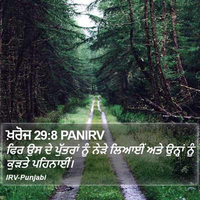 ਖ਼ਰੋਜ 29:8 PANIRV Bible Verse Image
