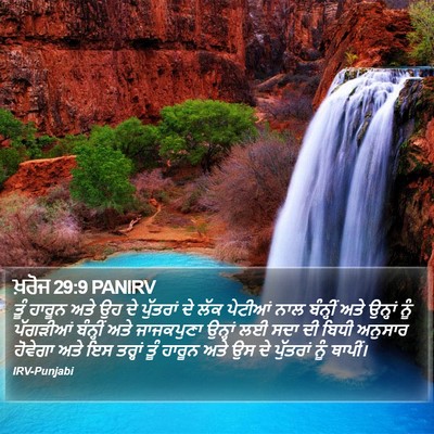 ਖ਼ਰੋਜ 29:9 PANIRV Bible Verse Image
