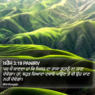 ਖ਼ਰੋਜ 3:19 PANIRV Bible Verse Image