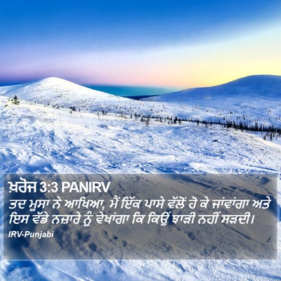 ਖ਼ਰੋਜ 3:3 PANIRV Bible Verse Image