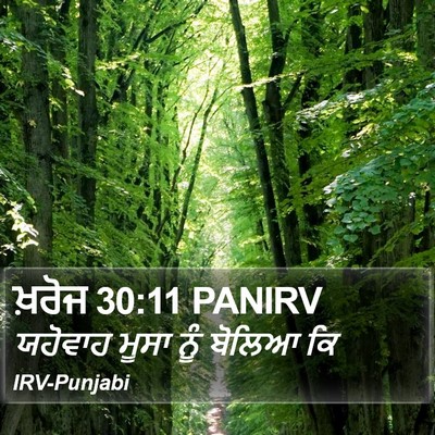 ਖ਼ਰੋਜ 30:11 PANIRV Bible Verse Image